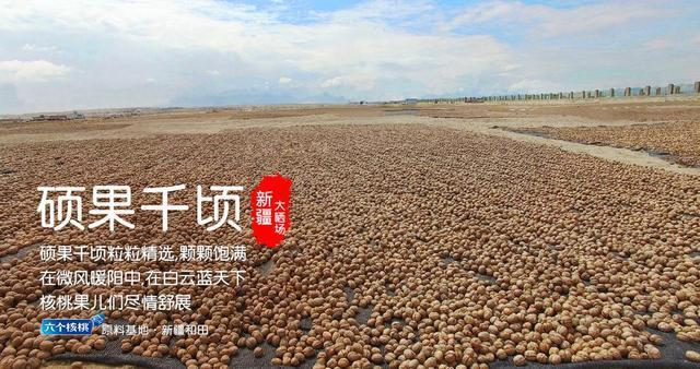 4118coom云顶(中国)有限公司