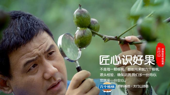 4118coom云顶(中国)有限公司